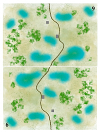 Marsh maps