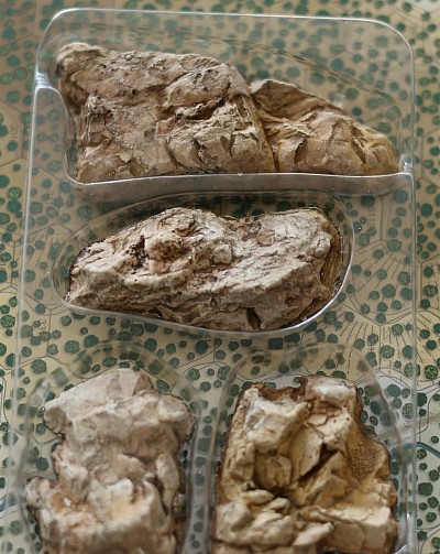 Outcrops