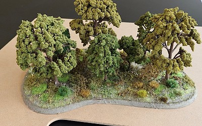 Woods